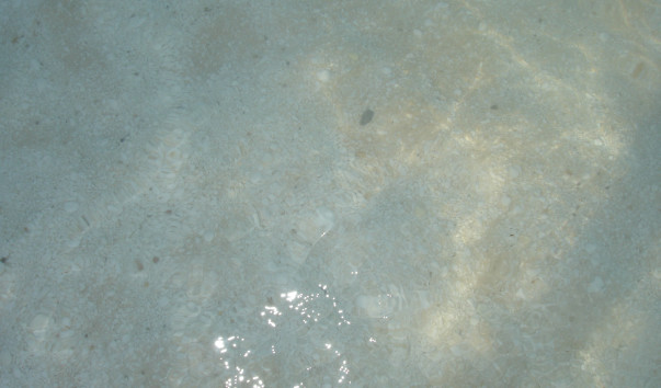 DSC03274