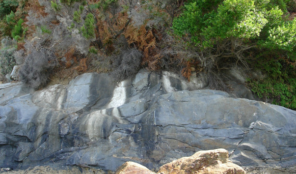 DSC03261