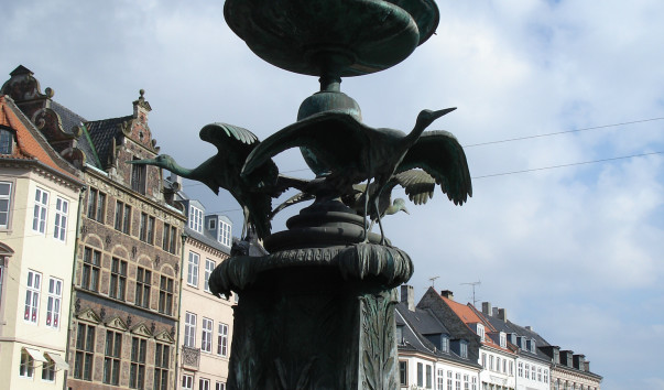 DSC06258