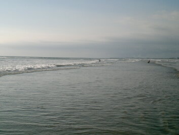 photo 599225