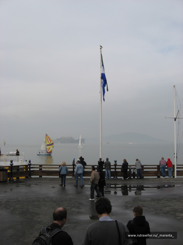 photo 1313999