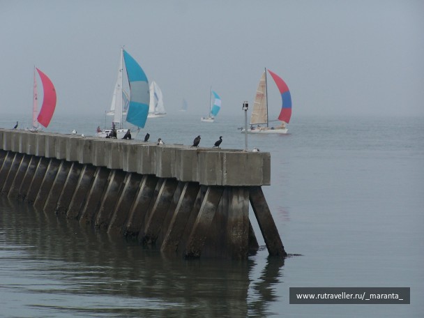 photo 1314005
