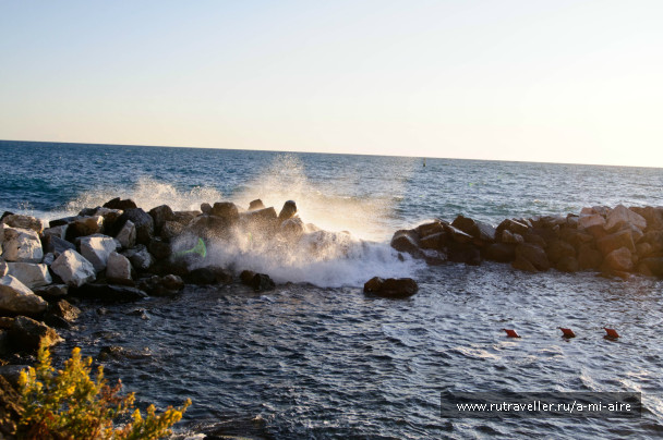 photo 269838
