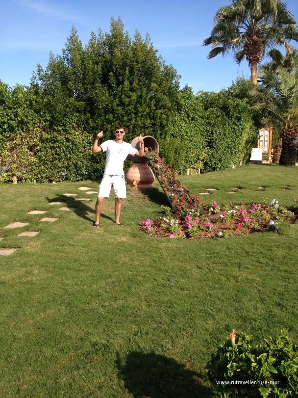photo 915680