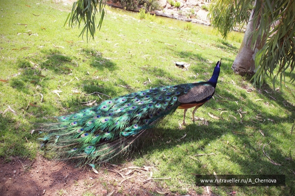 photo 769574