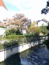 photo 1479556