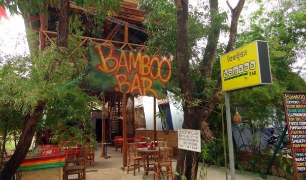 bamboo3