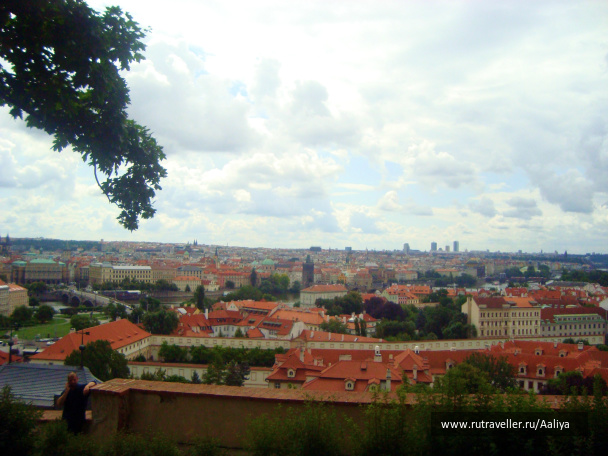 photo 448888