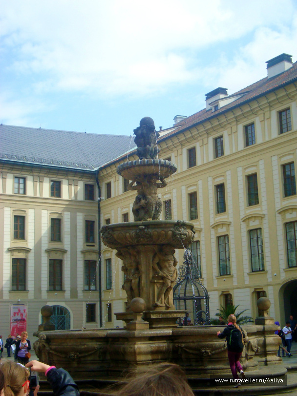 photo 448895