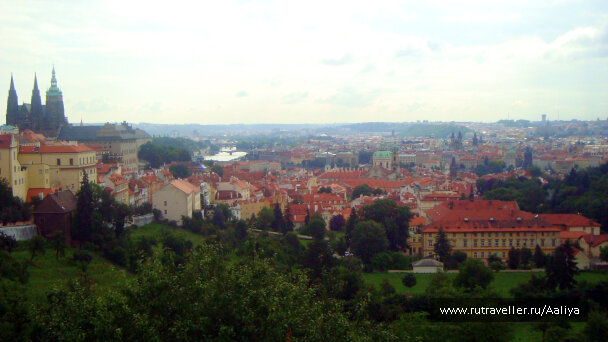 photo 448899