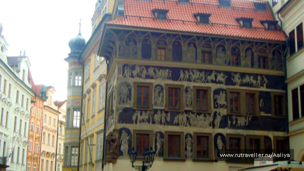 photo 448913