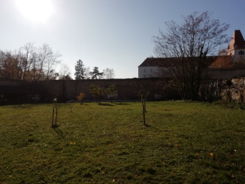 photo 1701661