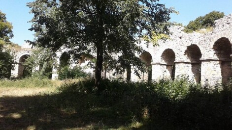 photo 1875078
