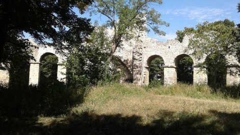 photo 1875083