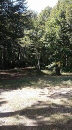 photo 1875086