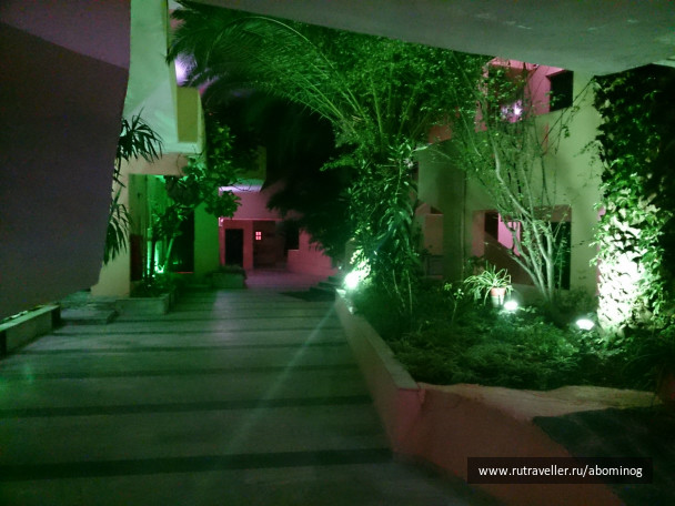 photo 399783