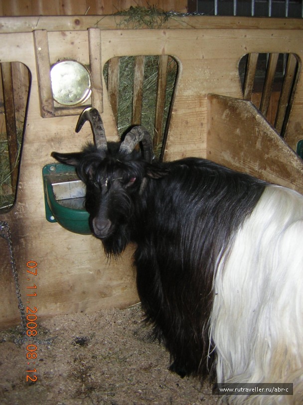 photo 406249