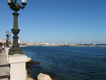 photo 446977
