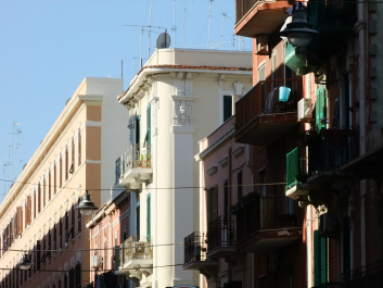 photo 446991