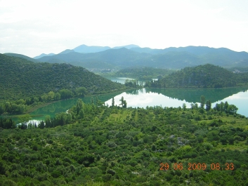 photo 374268