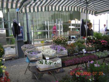 photo 391796