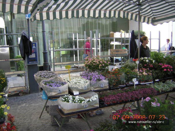 photo 391796