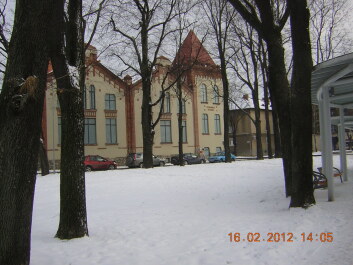 photo 384885