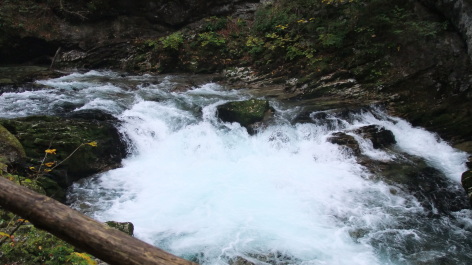 photo 577719