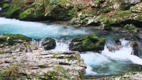 photo 577721