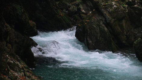 photo 577723