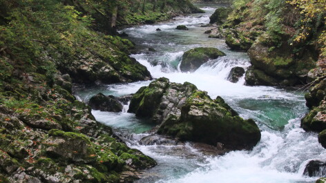photo 577725