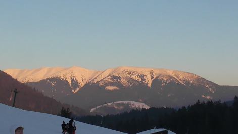 photo 986769