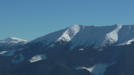 photo 986774