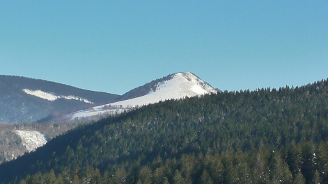 photo 986776