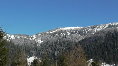 photo 986781