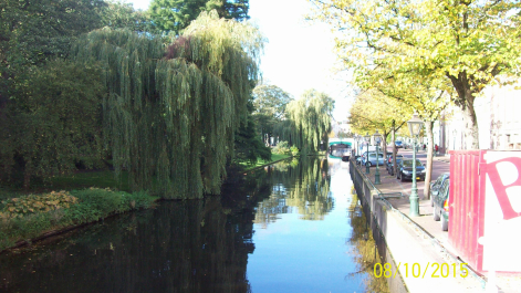 photo 1142993