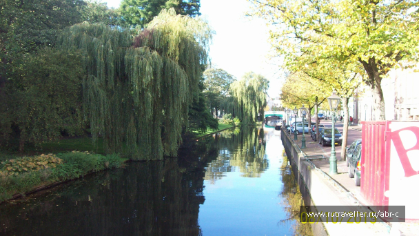 photo 1142993