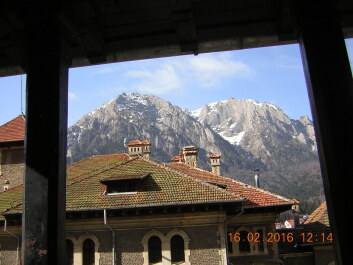 photo 1236549