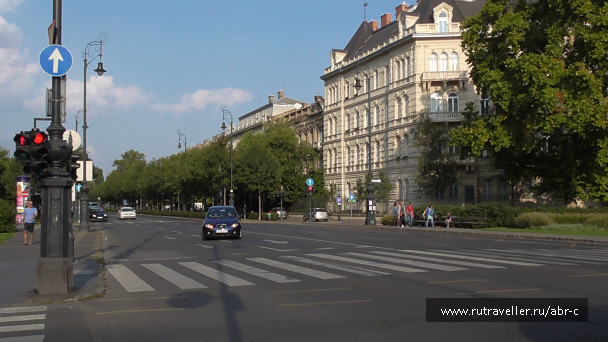 photo 1397784