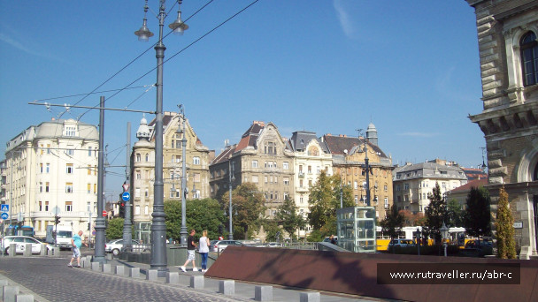 photo 1397789