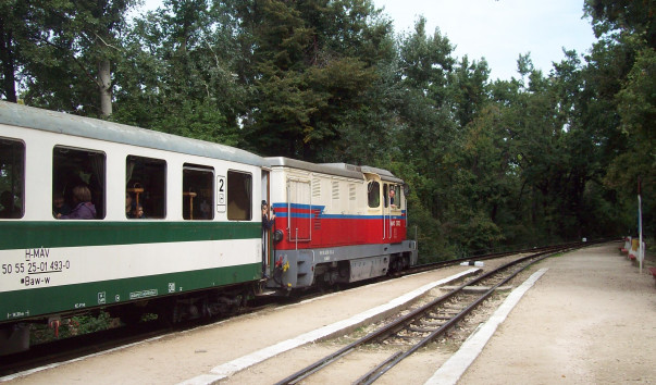 Hun173
