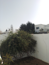 photo 2089125