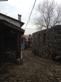 photo 1316578