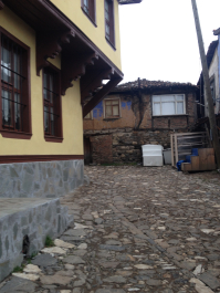 photo 1316579