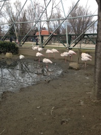 photo 1317778