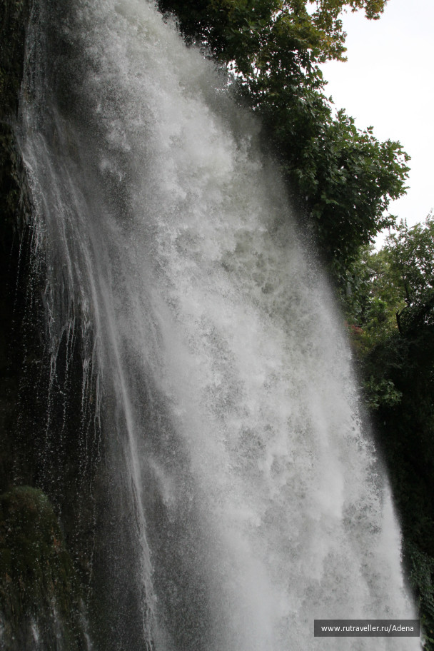 photo 158259