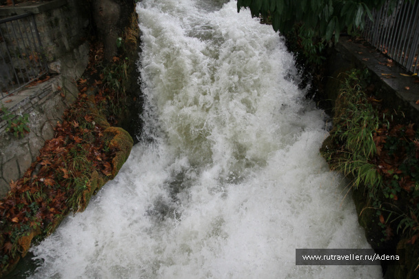 photo 158260