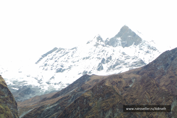 photo 616782
