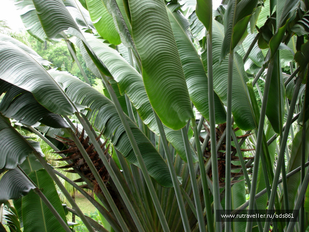 photo 79541