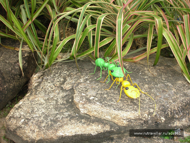 photo 79571